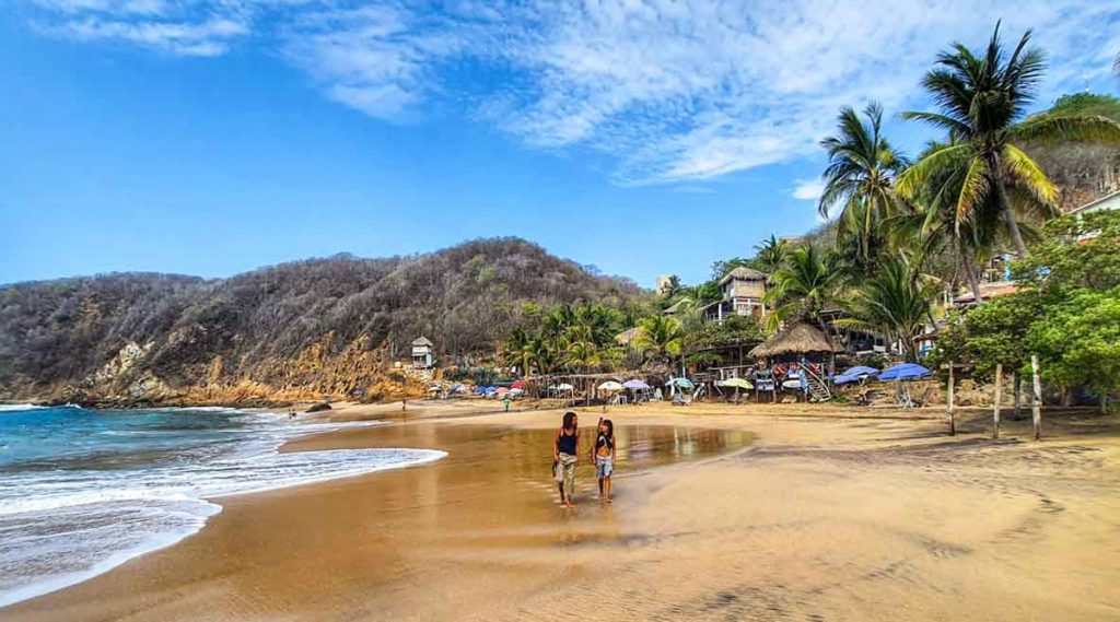 Mexico’s Turtle & Yoga Hotspot (2024)