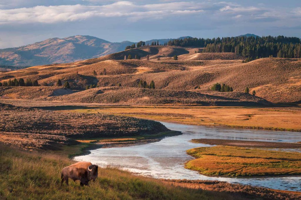 Greatest Nationwide Parks to Go to within the US: A Information to 25+ Parks for Each Traveller